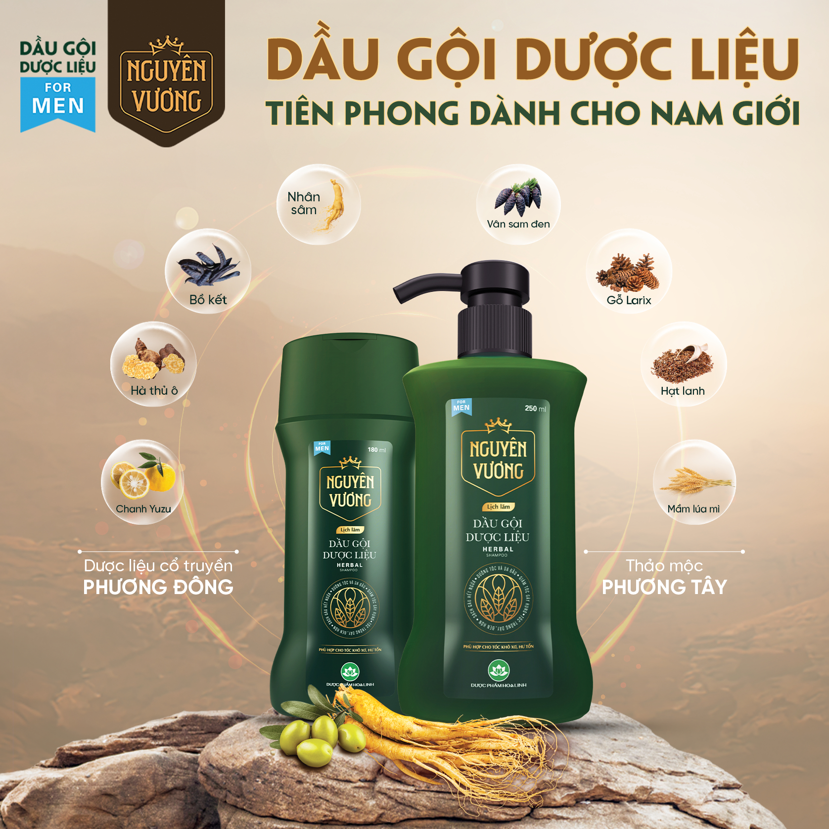 Thành phần dầu gội Nguyên Vương lịch lãm