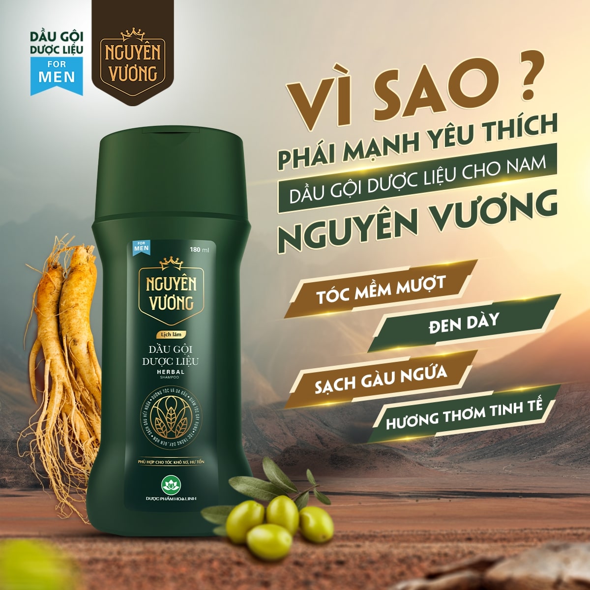 Công dụng dầu gội Nguyên Vương lịch lãm