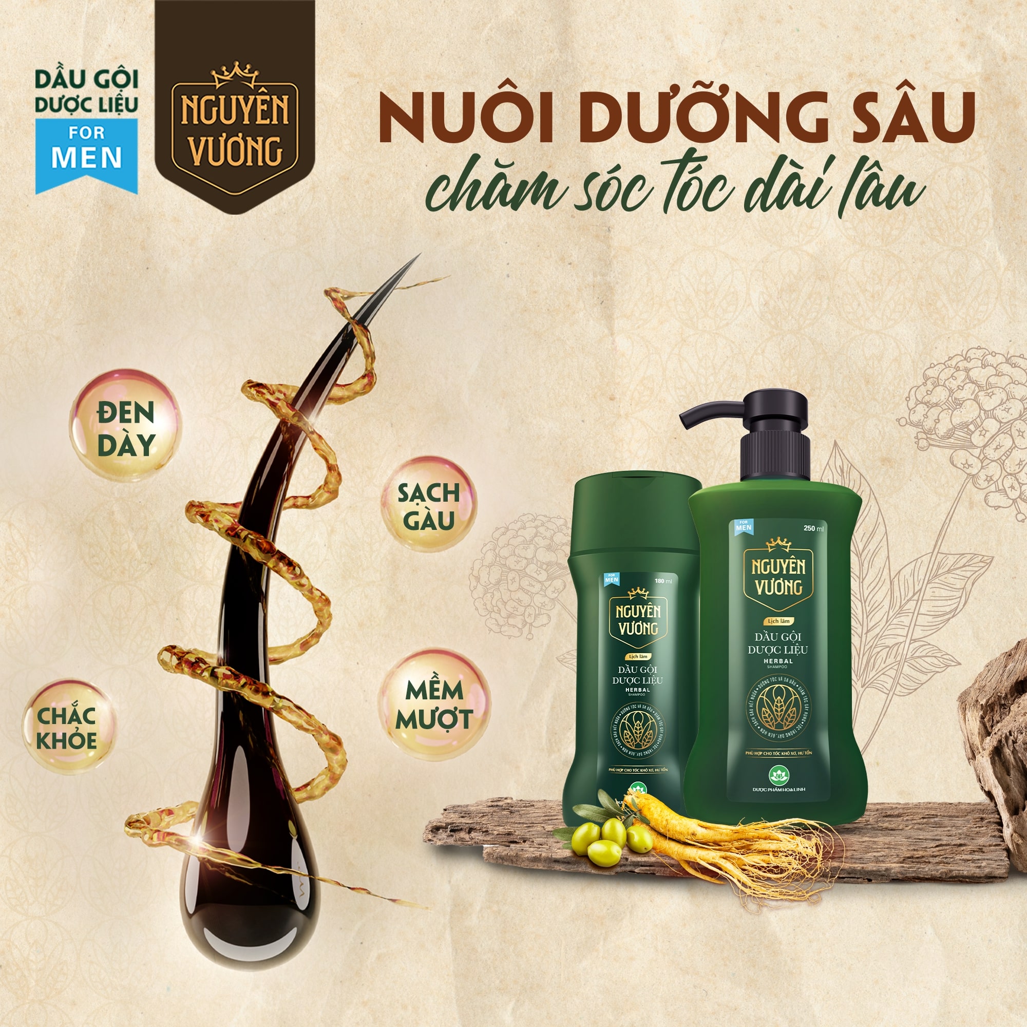 Hướng dẫn sử dụng dầu gội Nguyên Vương lịch lãm