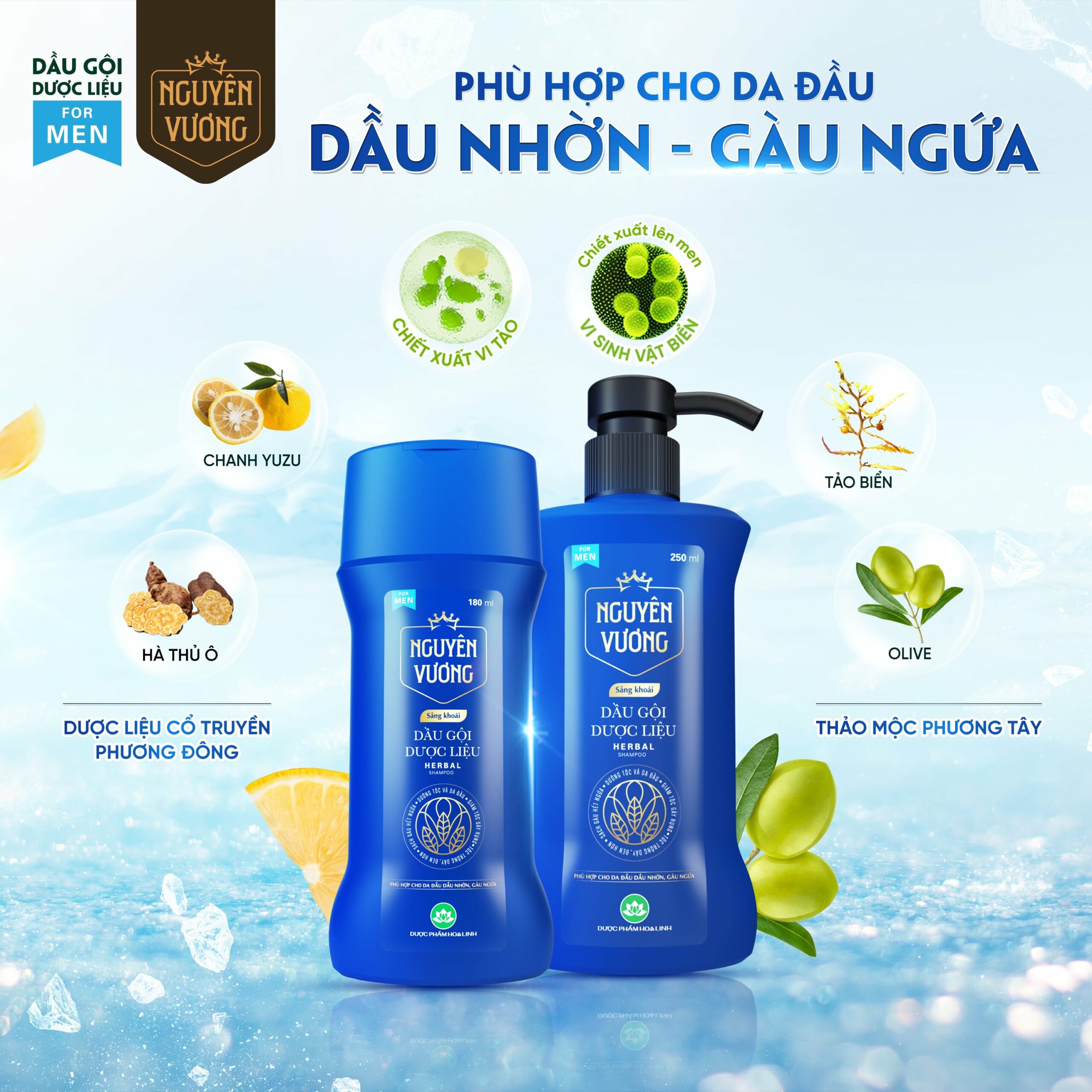 Thành phần dầu gội Nguyên Vương sảng khoái