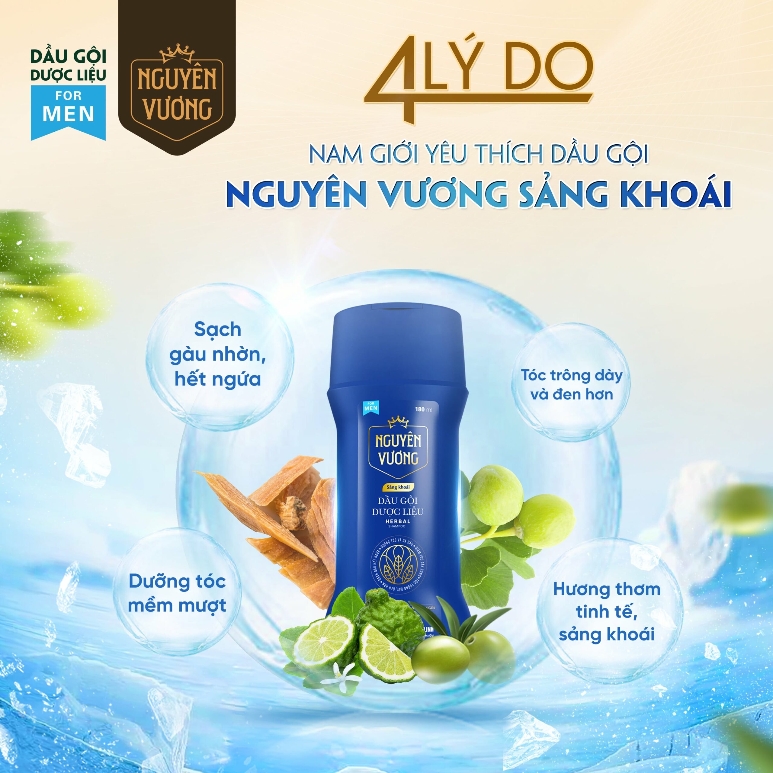 Công dụng dầu gội Nguyên Vương sảng khoái