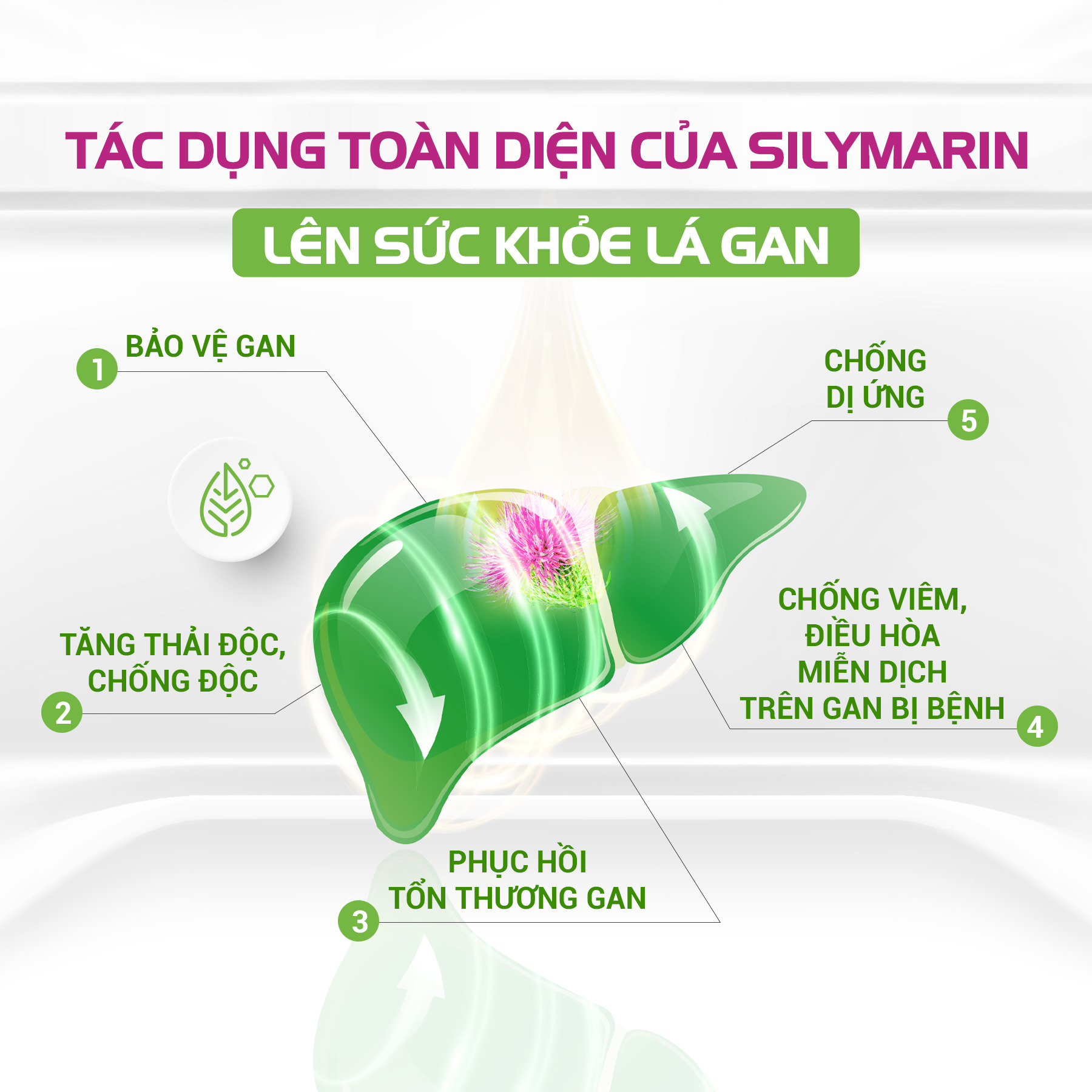Công dụng Ích Can Thanh