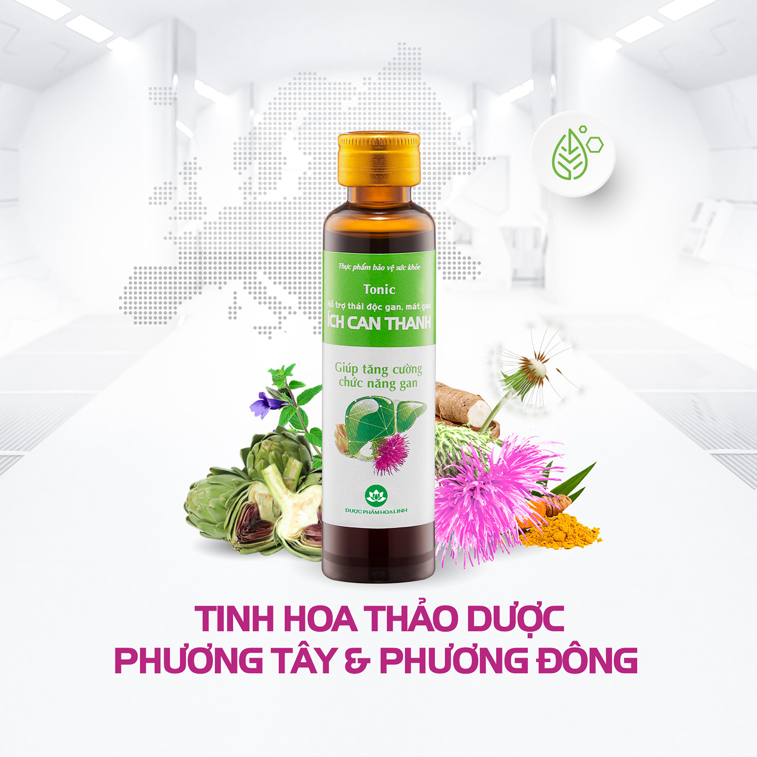 Ích Can Thanh kết hợp giữa tinh hoa thảo dược phương tây & phương đông