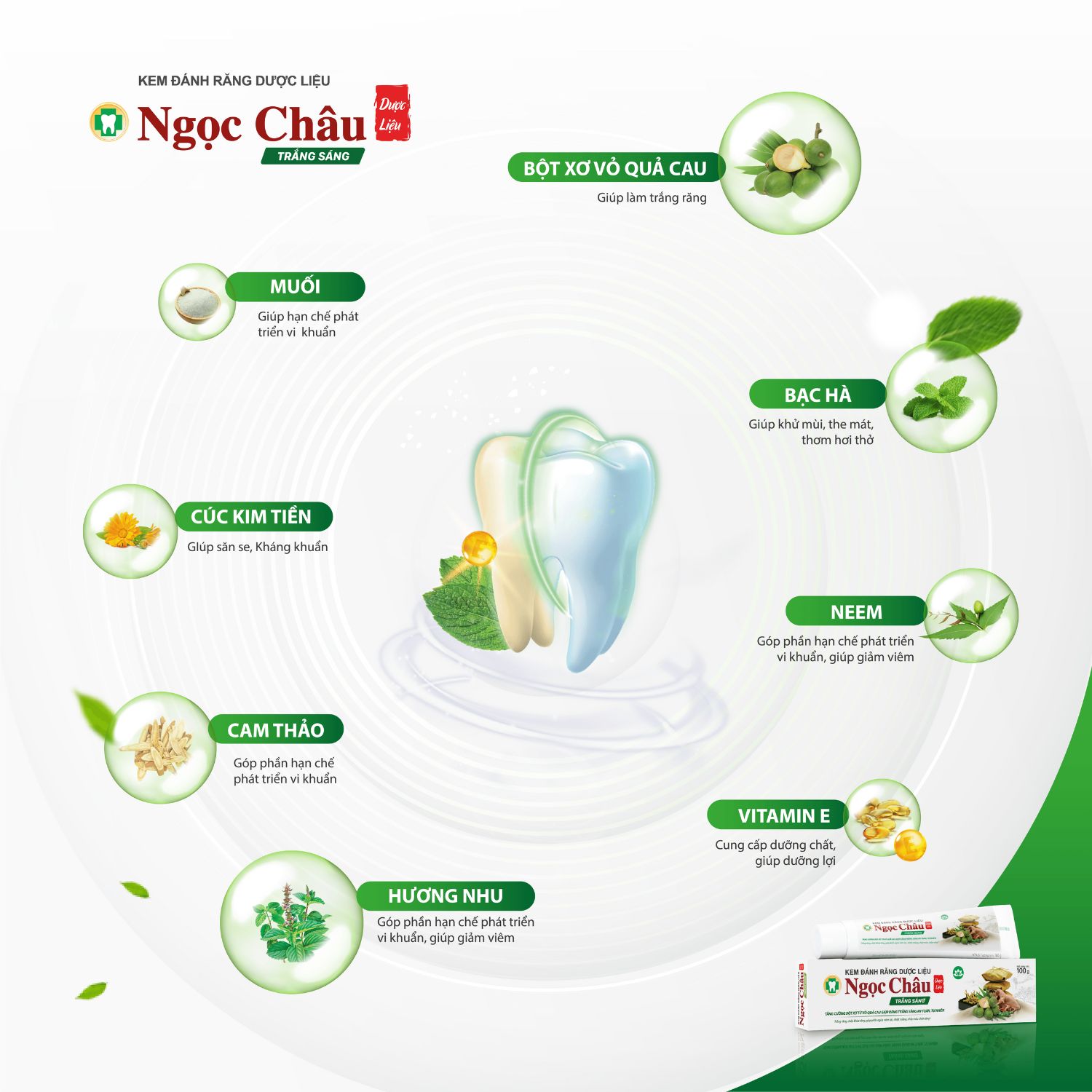 Thành phần kem đánh răng Ngọc Châu trắng sáng