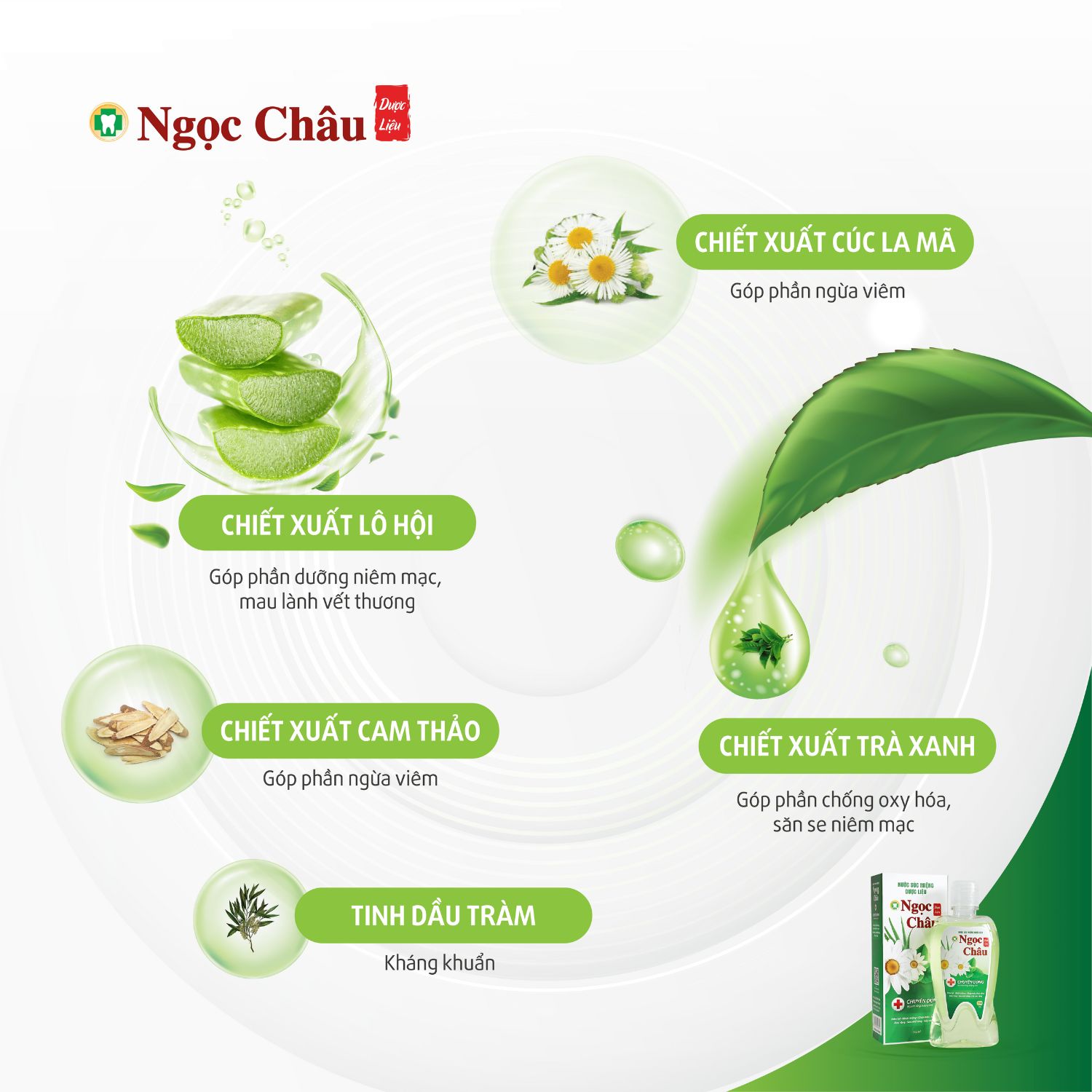 Thành phần nước súc miệng Ngọc Châu