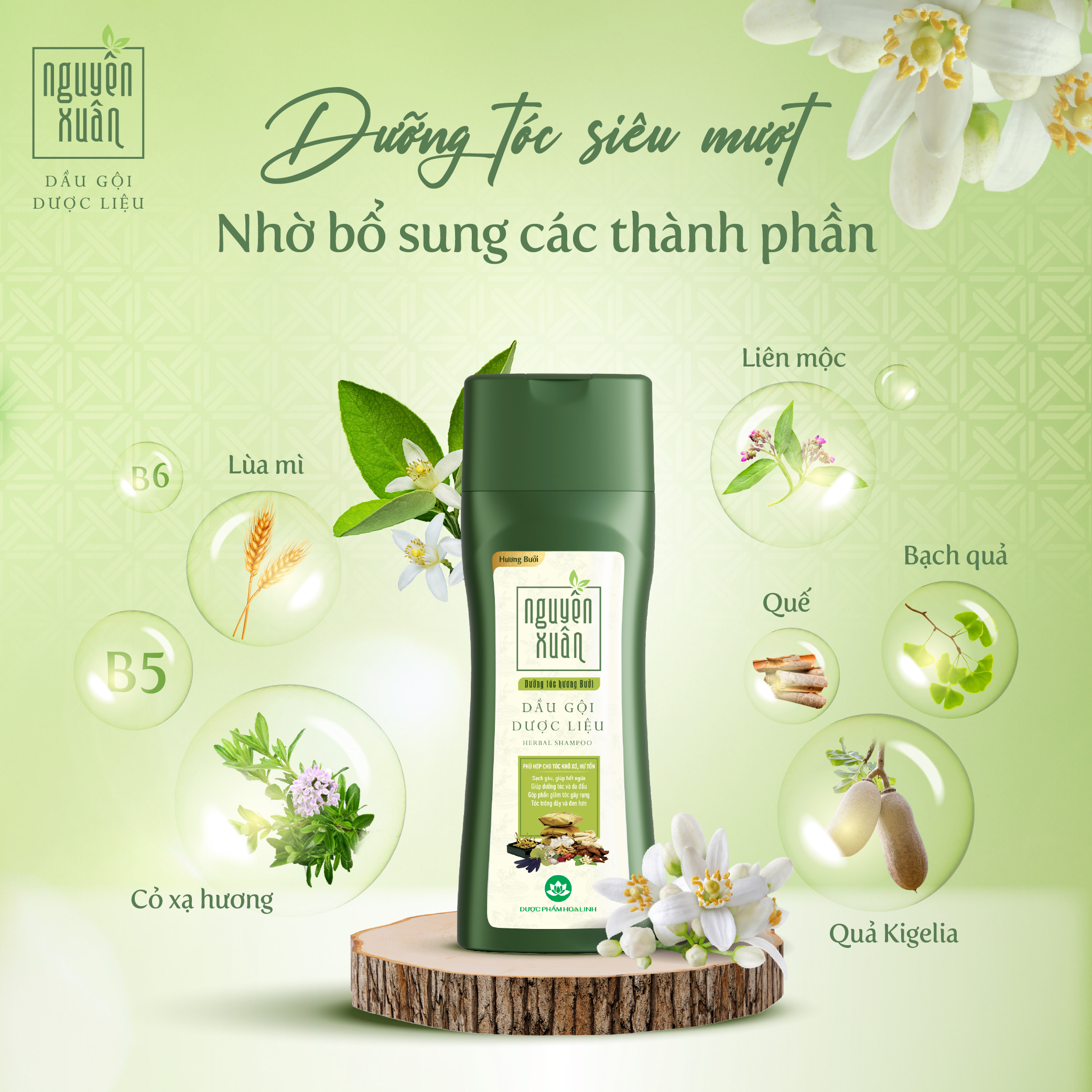 Thành phần dầu gội Nguyên Xuân hương bưởi