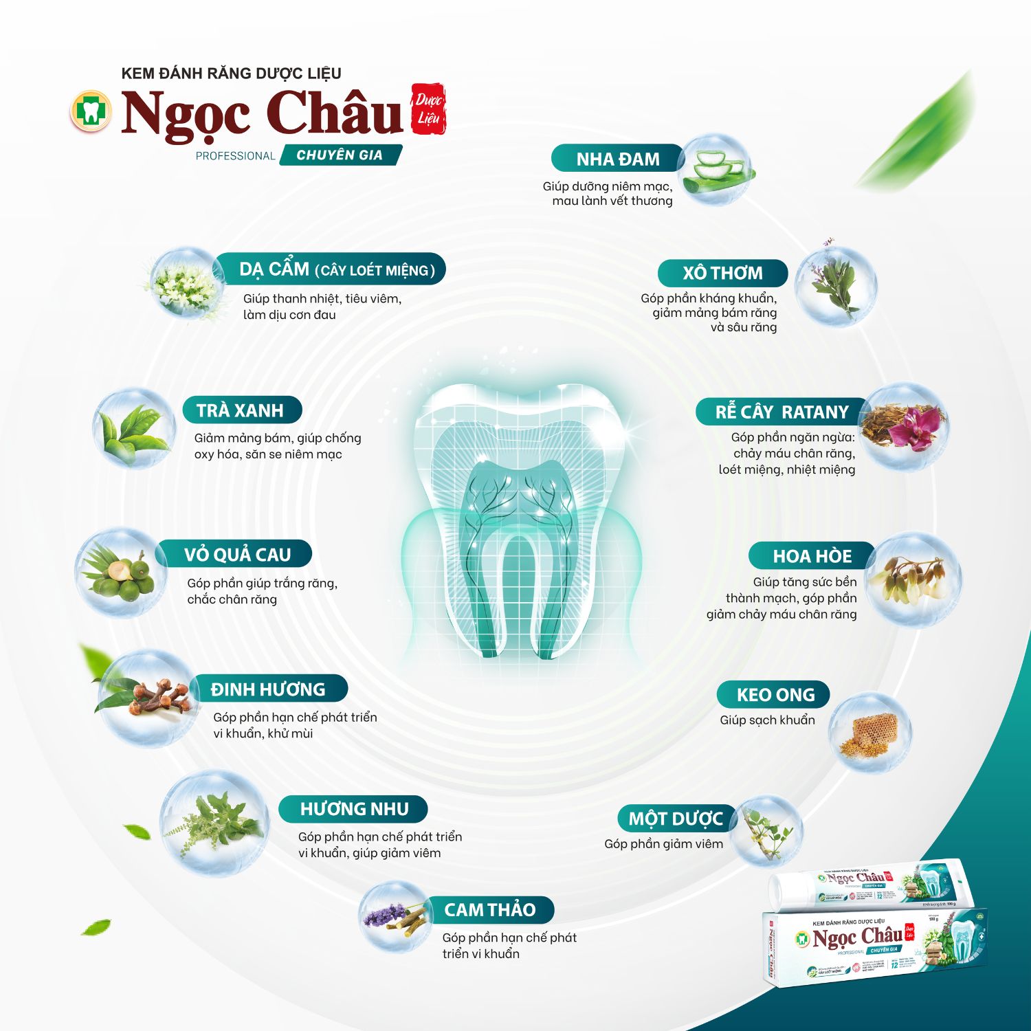 Thành phần kem đánh răng Ngọc Châu chuyên gia