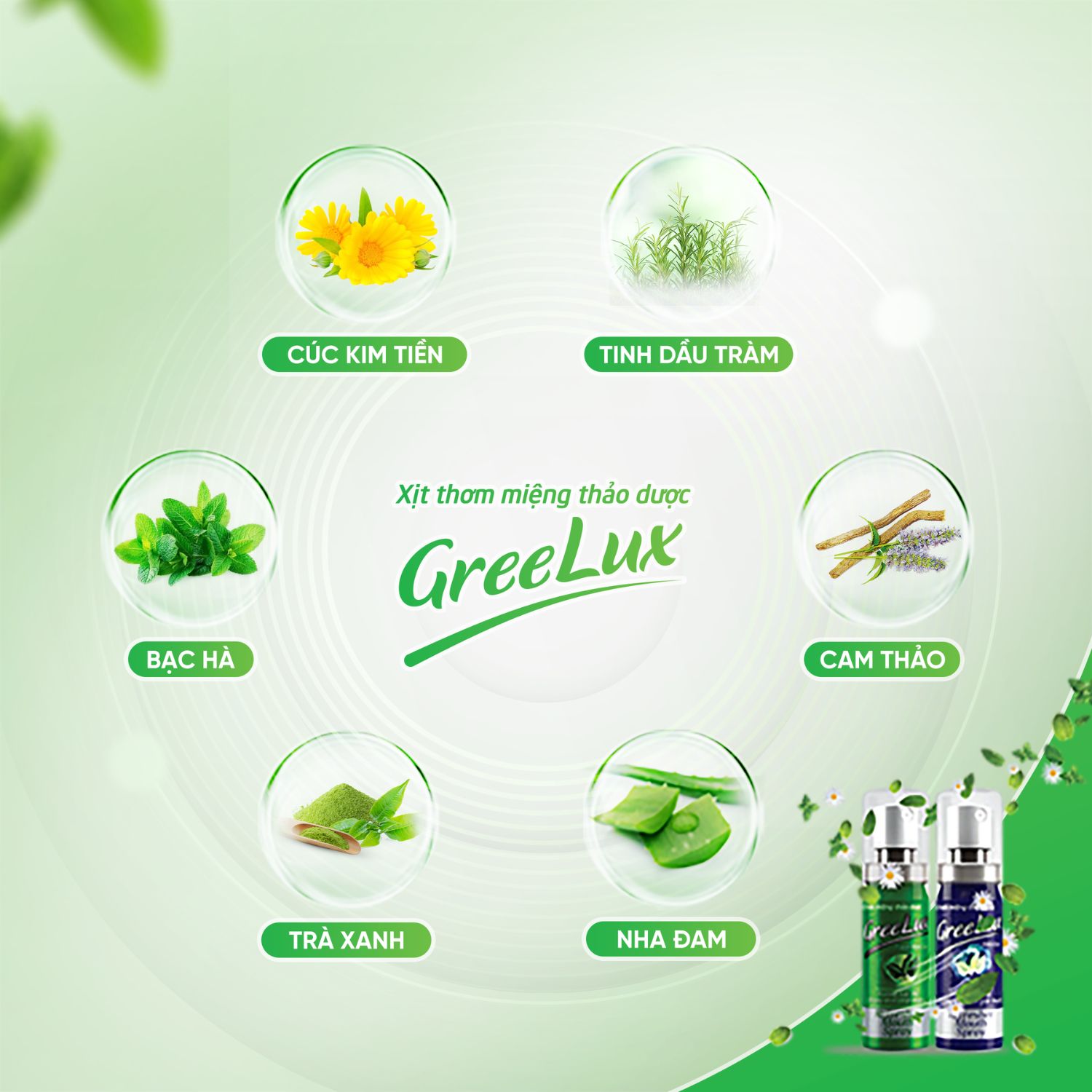 Thành phần xịt thơm miệng GreeLux