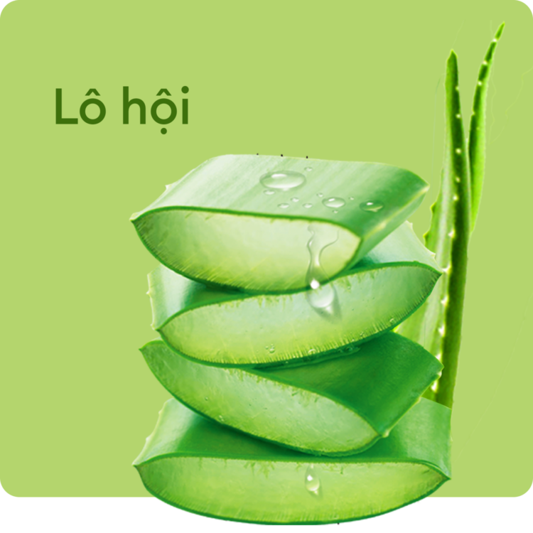 Lô hội