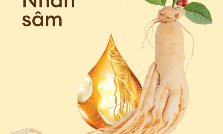 Nhân sâm