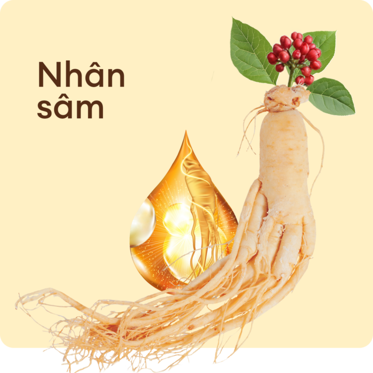 Nhân sâm