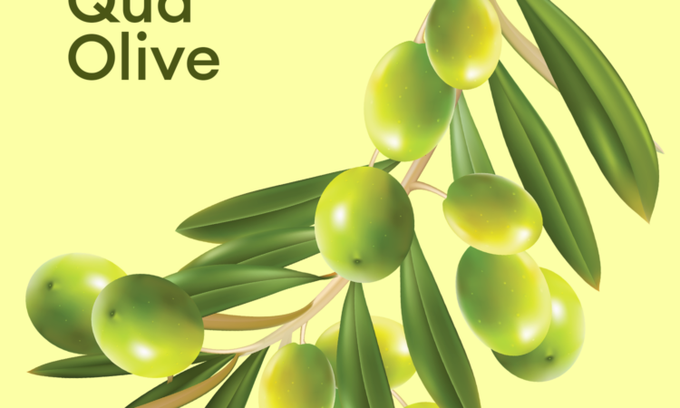 Olive
