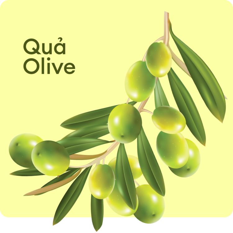 Olive