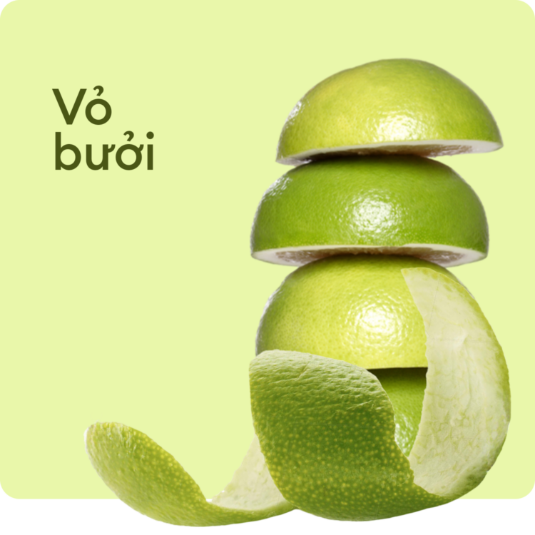 Vỏ bưởi